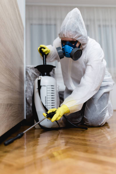 Best Pest Prevention Services  in Cumberland Hill, RI